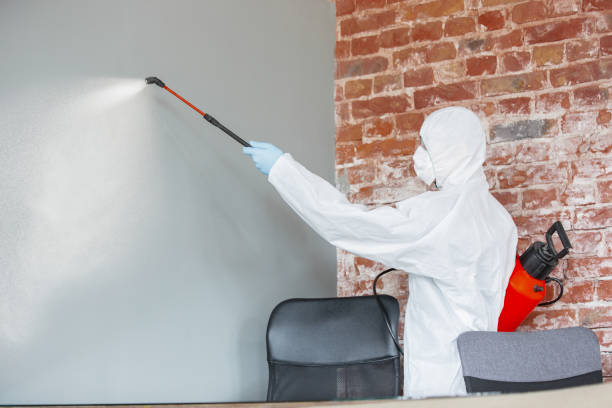 Best Mold Prevention Services  in Sandoval, IL