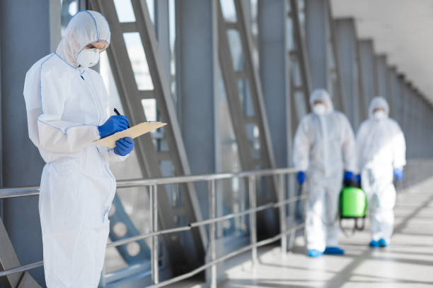 Best Industrial Mold Remediation  in Sandoval, IL
