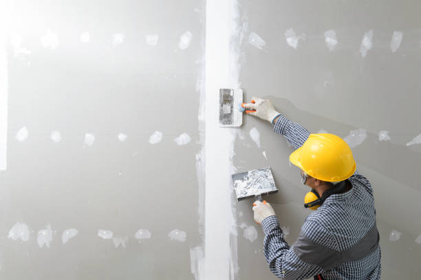 Best Asbestos and Lead Testing During Mold Inspection  in Sandoval, IL