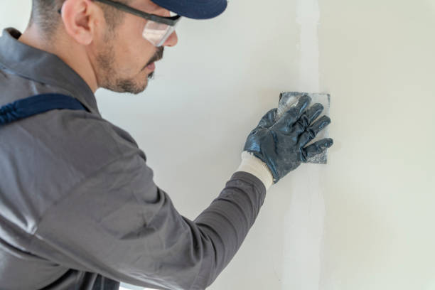 Reliable Sandoval, IL Mold Removal Solutions