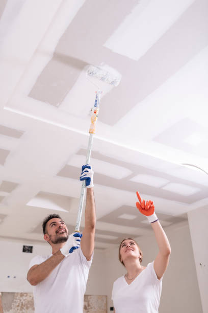 Mold Remediation for Rental Properties in Sandoval, IL