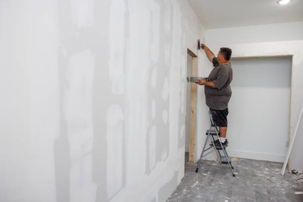 Best Asbestos and Lead Testing During Mold Inspection  in Sandoval, IL