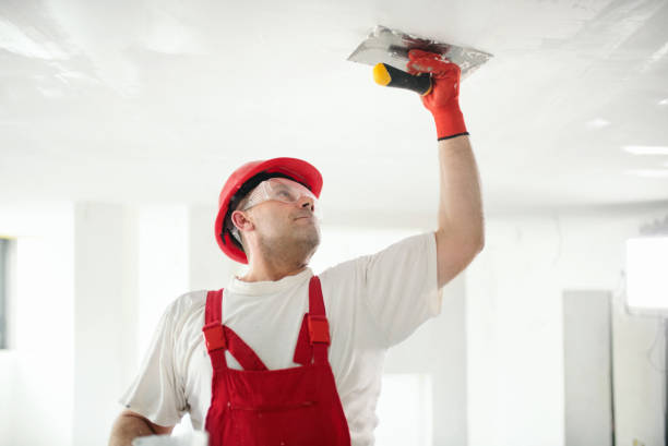 Best HVAC Mold Inspection and Cleaning  in Sandoval, IL