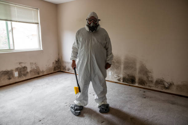Mold Removal for HVAC Installations in Sandoval, IL