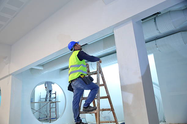 Best Mold Removal for HVAC Installations  in Sandoval, IL